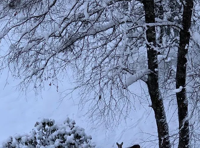 Residenz Kaiser Franz Josef Bad Gastein